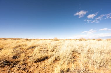 Taşlaşmış Orman Ulusal Parkı 'nın Yüksek Çölünde Aşırı Açık Çekim