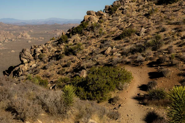 Ryan Mountain Trail Mira Hacia Fuera Sobre Valle Perdido Del — Foto de Stock