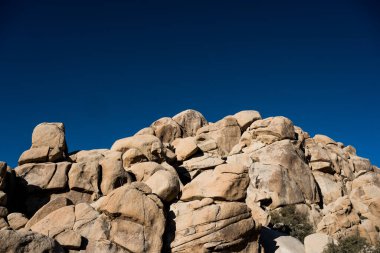 Pürüzsüz Kaya Yığını Joshua Ağacının Altında Bulutsuz Derin Mavi Gökyüzü