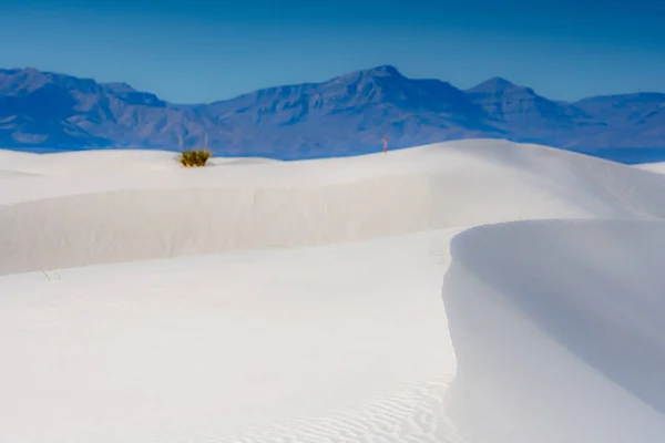Песчаные Дюны Поднимаются Падают Тропе Через Национальный Парк Белые Пески — стоковое фото