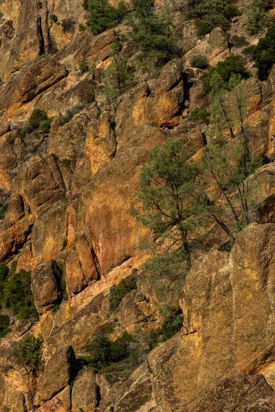 Скелі Деревами Розсипають Скелю Національному Парку Піннаклес — стокове фото