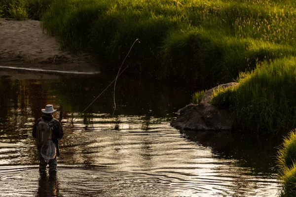 Fliegenfischen Fluss Rocky Mountain National Park Späten Nachmittag — Stockfoto