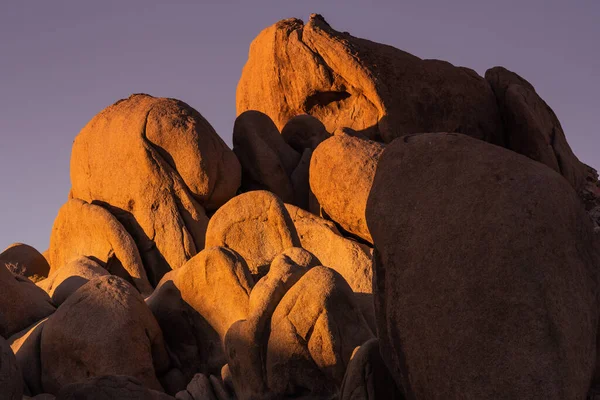 Morning Light Jumbo Rocks Joshua Tree National Park — стокове фото