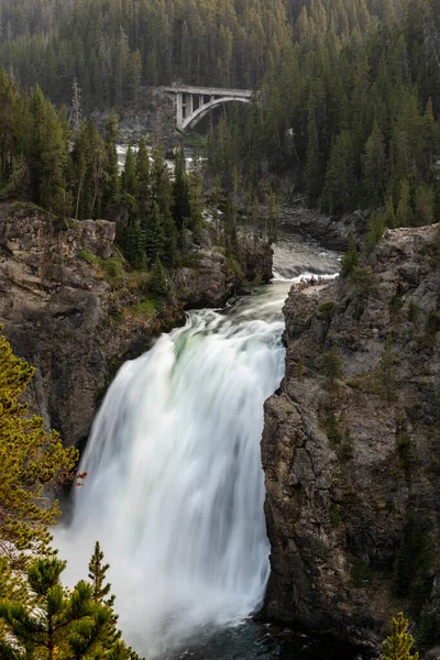 Poeple Look Edge Upper Falls Yellowstone River — Zdjęcie stockowe