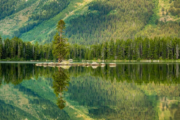 Tree Rocky Island Reflects Leigh Lake Grand Teton National Park — Stock Photo, Image