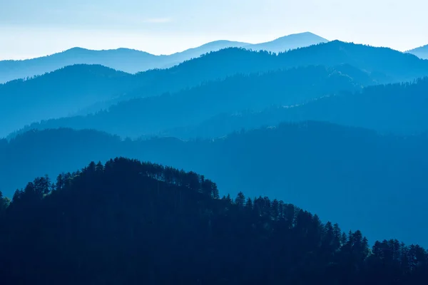 Mavi Sabah Işığı Ağacın Üzerinde Büyük Dumanlı Dağlar Ulusal Parkı — Stok fotoğraf
