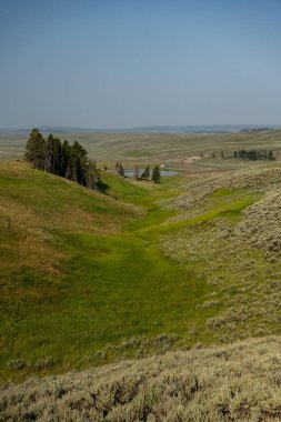 Howard Eaton Yolu boyunca uzanan dere yazın öğleden sonra Yellowstone Nehri 'ne çıkar.