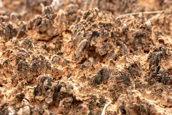 Тонкие Текстуры Пустынной Коры Национальном Парке Каньонлендс — стоковое фото