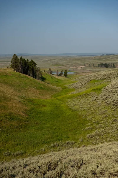 Gully Howard Eaton Trail Leidt Naar Yellowstone River Zomermiddag — Stockfoto