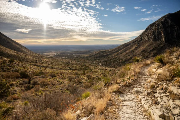 Дивлячись Зворотному Напрямку Камппон Стежки Техас Горах Гуадалупе Національний Парк — стокове фото
