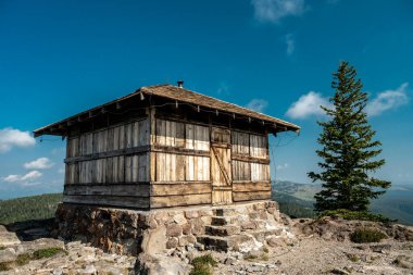 Yellowstone Ulusal Parkı 'nda Gözlem Tepesi Yangın Kulesi ve Tek Çam Ağacı