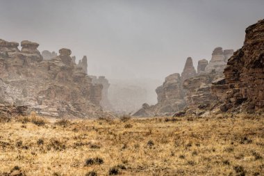 Kanyonlar Ulusal Parkı 'ndaki Kasırga Kanyonu Girişinde Kar Düşmeye Başlıyor