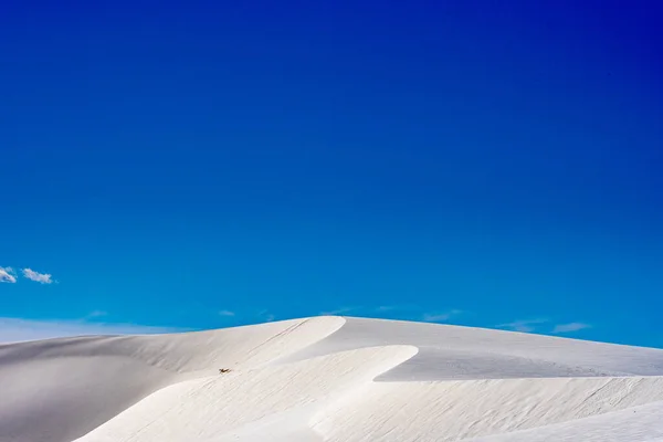 Zandduinslangen Door Het Duinenveld Het White Sands National Park — Stockfoto