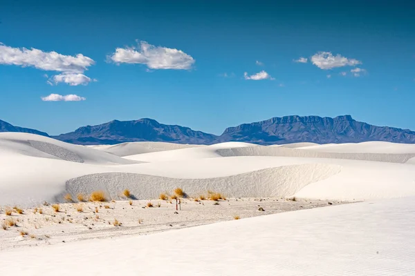 Empty Campsite Tucked Flat Spot Mountains White Sand Dunes National —  Fotos de Stock