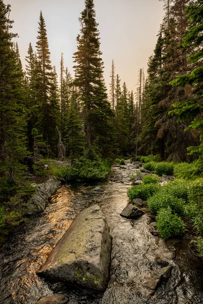 Golden Light Reflects Boulder Filled Stream Rocky Mountain National Park — Zdjęcie stockowe