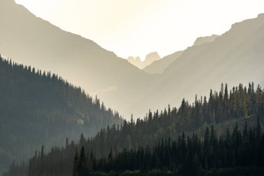 Dağlar ve Ormanların Katmanları İki Tıpta Birleşti