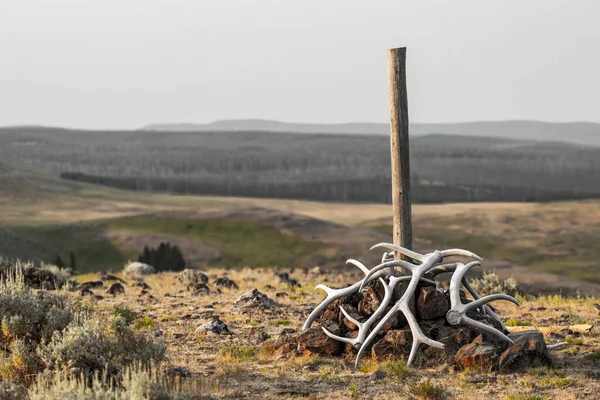Muted Colors of Trail Marker Along Specimen Ridge Trail in Yellowstone National Park