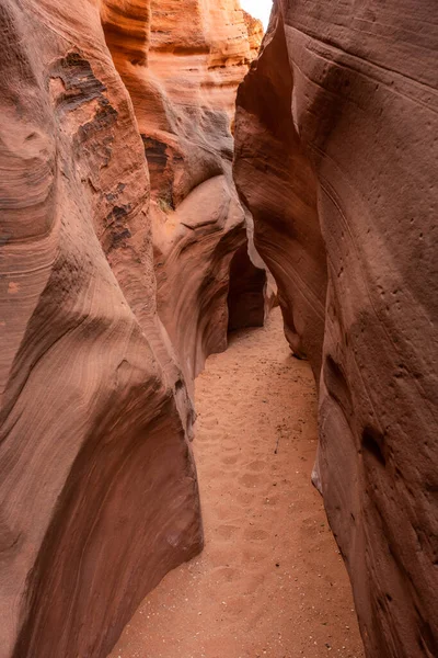 Gladde Zandstenen Muren Van Een Ondiepe Slot Canyon Buckskin Gulch — Stockfoto