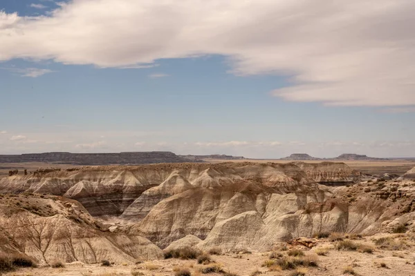 Blue Mesa Badlands Canyon Them Petrified Forest National Park — Foto Stock