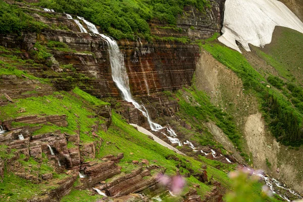 Buzul Ulusal Parkı 'nda Parlak Yeşil Çimenler Sabah Kartal Şelaleleri etrafında büyüyor