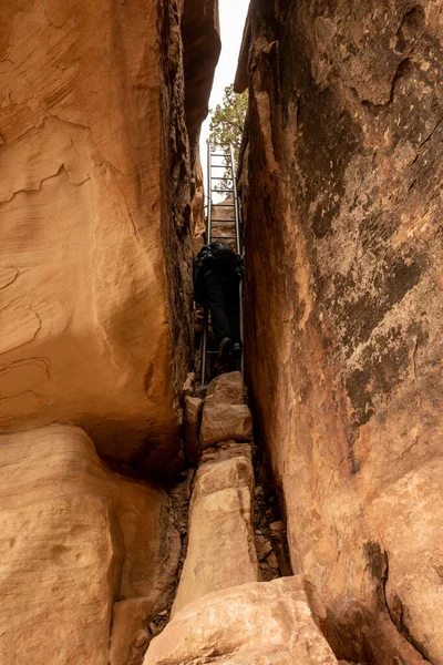 Caminhante Sobe Escada Abaixo Peekaboo Primavera Canyonlands National Park — Fotografia de Stock