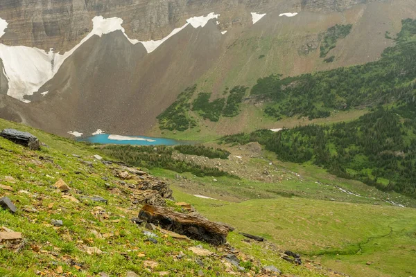 Lodowo Niebieskie Jezioro Gromadzi Się Poniżej Przełęczy Piegan Parku Narodowym — Zdjęcie stockowe