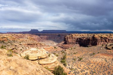Slickrock Ayak İzi Kuzey 'e, Kanyonlar' daki Ulusal Park 'taki Adalara doğru bakıyor.