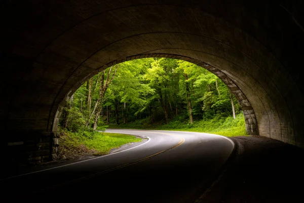 Bright Green Trees Crowd Tunnel Exit Loop 441 Great Smoky — Stock Photo, Image