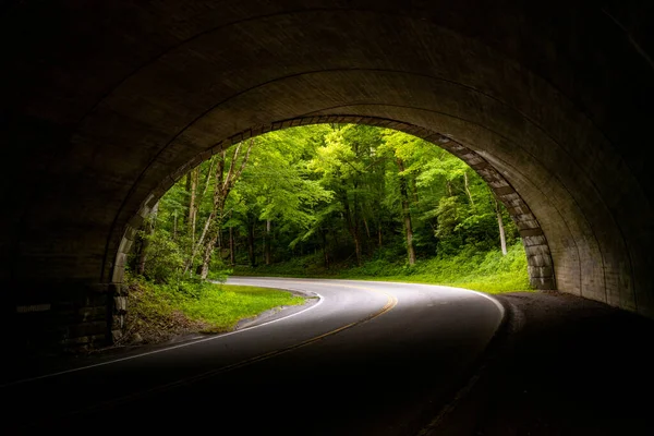 Árboles Verdes Brillantes Agolpan Alrededor Salida Del Túnel Bucle 441 — Foto de Stock