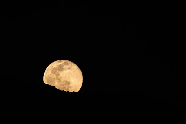 Full Moon Rising Hill Side Joshua Tree National Park — Stock Photo, Image