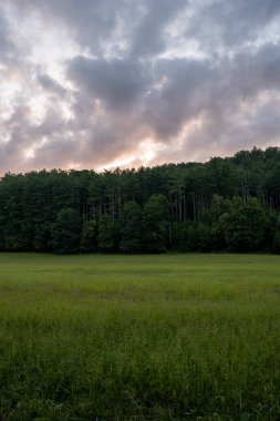 Güneş, Cataloochee Vadisi 'ndeki Ağaçların Arkasında Batıyor