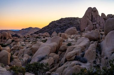 Joshua Tree Ulusal Parkı 'ndaki Split Rock Trail' de Gün Doğumu