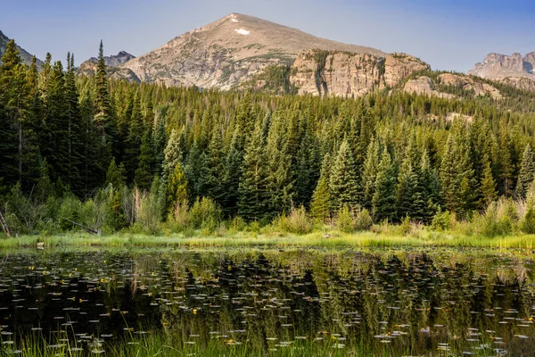 Small Pond Glacier Creek Trail Rocky Mountain National Park — Stock Photo, Image