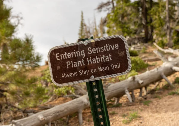 Entrar Planta Sensible Hábitat Señal Para Tratar Proteger Los Pinos — Foto de Stock