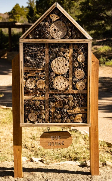 Ecological Bug House Display Offers Ways See How Insects Eat — Stock Photo, Image