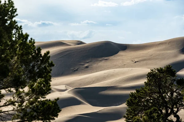 Mirando Hacia Las Dunas Entre Los Pinos Nublado Día Verano —  Fotos de Stock