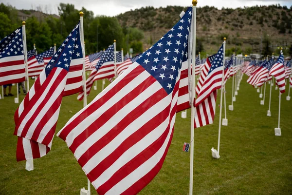 American Flags Grid Park Memorial Day Colorado — Stock Photo, Image