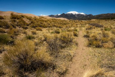 Dirt Trail Heads up Dune Toward Snow Capped Mountains in Great Sand Dunes National Park