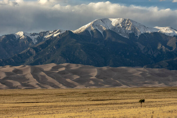 Yellow Field of Grass Below Dunes and Mountains in Great Sand Dunes National Park