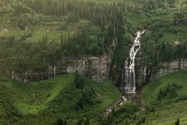 Unknown Waterfall Drops From Logan Pass Along Going To The Sun Road in Glacier National Park