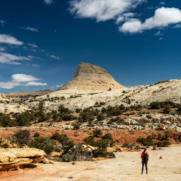 Woman Hiker Stares Unnamed Formation Capitol Reef National Park — Foto de Stock