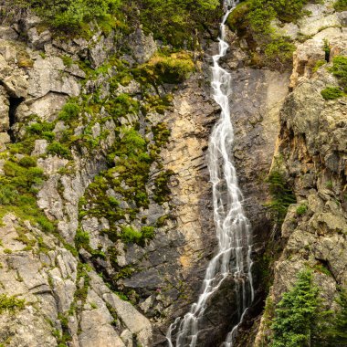 Cascade of Water Falls Over Mossy Cliff Face in Rocky Mountain National Park
