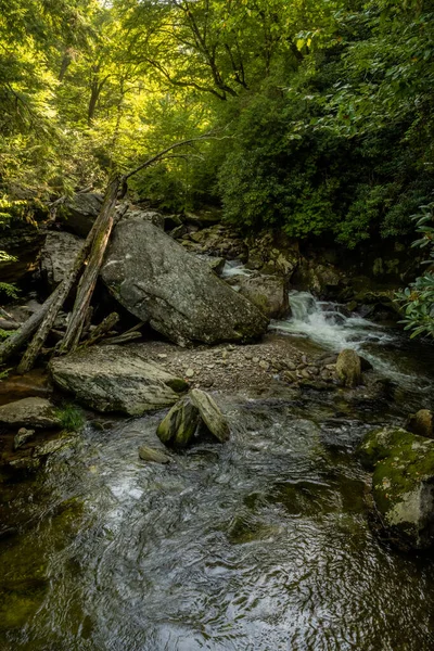 Enloe Creek Flows Large Boulders Downed Trees Great Smoky Mountains — 스톡 사진
