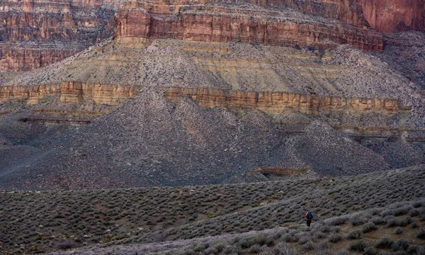 Hiker Bright Orange Jacket Hikes Tonto Trail — Foto de Stock