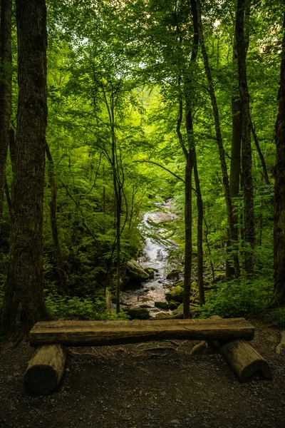 Деревянная Скамейка Водопада Линн Кэмп Пронг Национальном Парке Грейт Смоки — стоковое фото