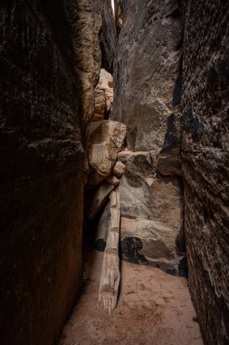 Steps Carved Into A Dead Tree Trunk At A Boulder Jam in Canyonlands National Park