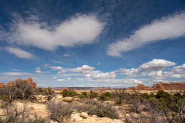 Sweeping View of Puffy Clouds Over The Needles in Canyonlands National Park