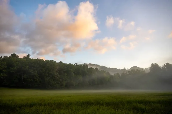 Thin Layer Fog Meadow Sunrise Great Smoky Mountains National Park — Stock Fotó