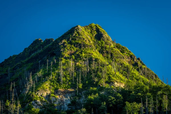 Bright Blue Sky Chimney Tops Great Smoky Mountains National Park — Stockfoto