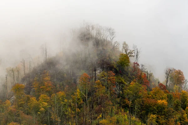 Fog Engulfs Colorful Chimney Tops Great Smoky Mountains National Park — Fotografia de Stock